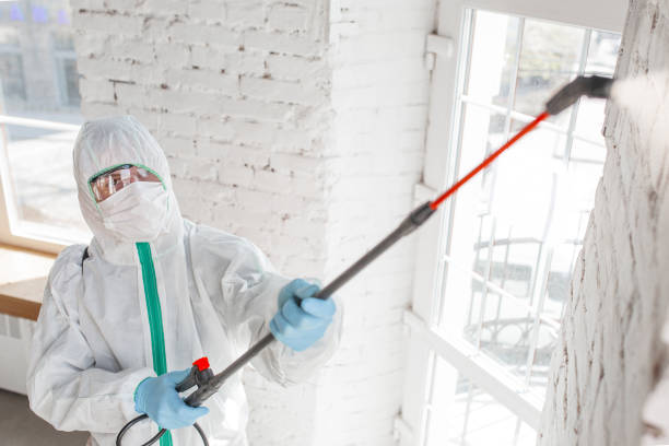 Best Dehumidification Services  in Mound, MN
