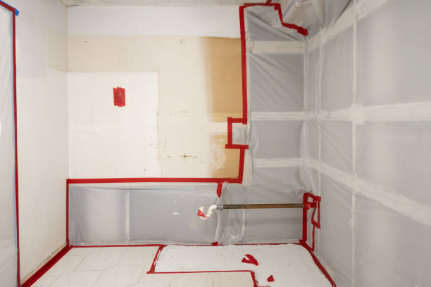 Best Commercial Mold Inspection  in Mound, MN