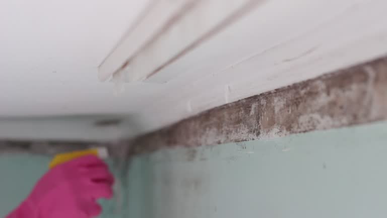 Best Indoor Air Quality Assessment  in Mound, MN